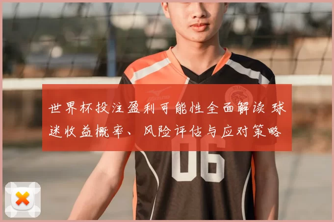 世界杯投注盈利可能性全面解读 球迷收益概率、风险评估与应对策略