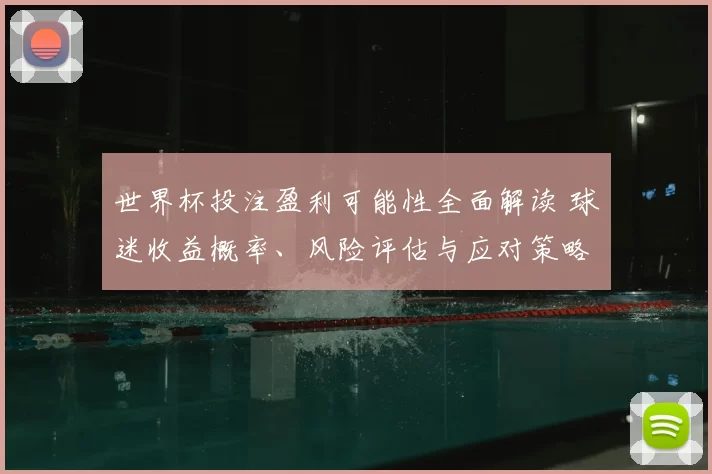 世界杯投注盈利可能性全面解读 球迷收益概率、风险评估与应对策略