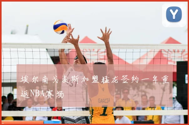 埃尔南戈麦斯加盟猛龙签约一年重返NBA赛场